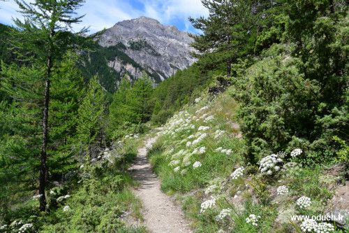Parcours