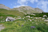 randonnee hautes-alpes Pointe-de-l-Eyssina - Vars - Guillestrois
