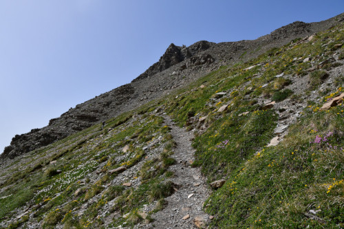 randonnee hautes-alpes Pointe-de-l-Eyssina Vars Guillestrois