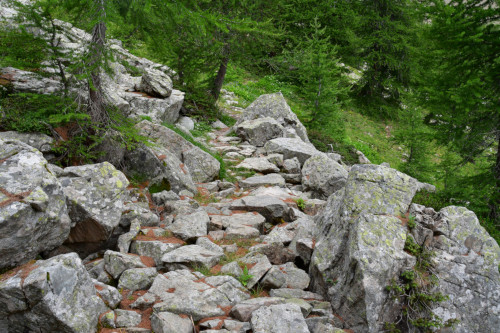 randonnee hautes-alpes Col-de-Trempa-Latz Embrun Embrunais