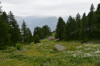 randonnee hautes-alpes Mont-Guillaume-et-col-de-Trempa-Latz - Embrun - Embrunais