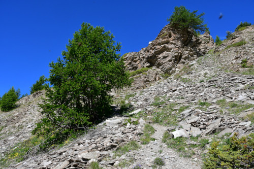 randonnee hautes-alpes Col-de-la-Creche Chateau-Ville-Vieille Queyras