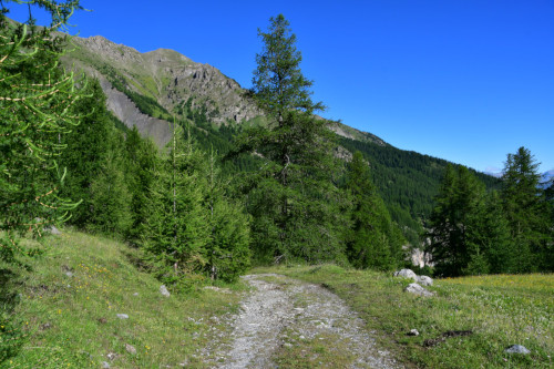 randonnee hautes-alpes Source-de-Jerusalem Les-Orres Embrunais