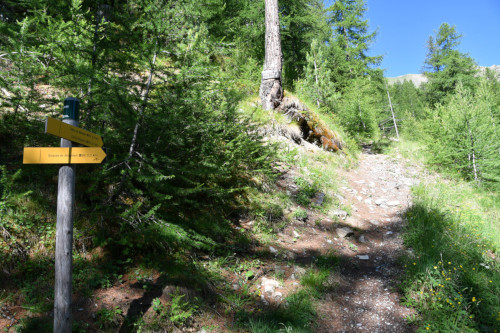 randonnee hautes-alpes Vallon-de-Muretier Les-Orres Embrunais