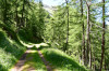 randonnee hautes-alpes Source-de-Jerusalem - Les-Orres - Embrunais