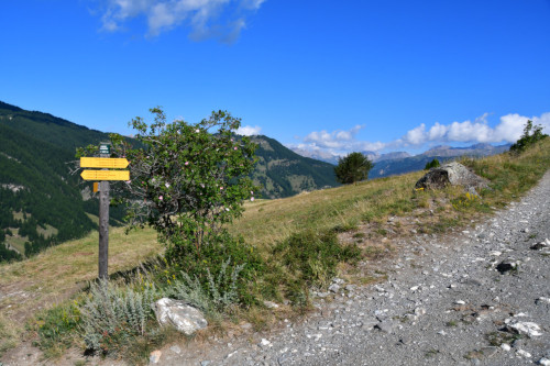 randonnee hautes-alpes La-Gardiole-de-l-Alp-en-boucle Molines-en-Queyras Queyras