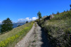 randonnee hautes-alpes La-Gardiole-de-l-Alp-par-le-chemin-de-Creyssant - Molines-en-Queyras - Queyras