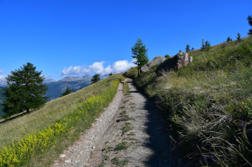 randonnee hautes-alpes La-Gardiole-de-l-Alp-par-le-chemin-de-Creyssant Molines-en-Queyras Queyras