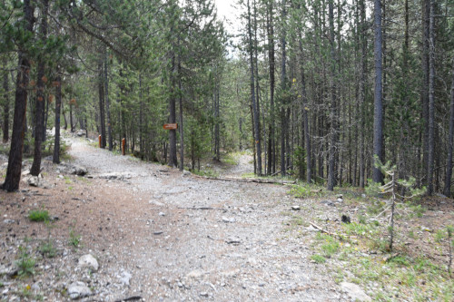 randonnee hautes-alpes Vallon-de-la-Selette Guillestre Queyras