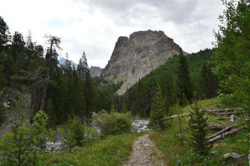 randonnee hautes-alpes Vallon-de-la-Selette Guillestre Queyras