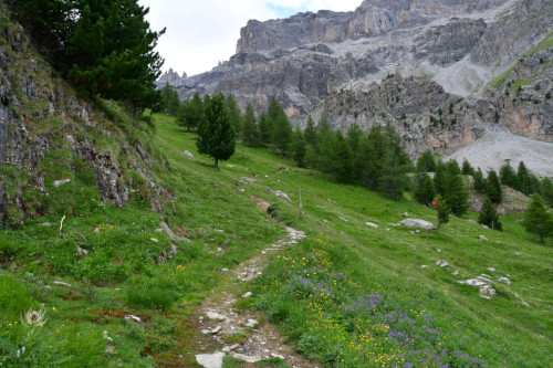 randonnee hautes-alpes Vallon-de-la-Selette Guillestre Queyras