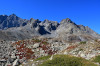randonnee hautes-alpes Col-d-Arsine-depuis-le-Lautaret - La-Grave - Villar-d-Arene