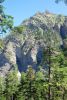 randonnee hautes-alpes Foret-de-Saluces - Saint-Andre-d-Embrun - Embrunais
