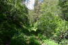 Parcours