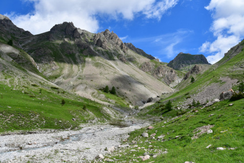 Vallon du torrent du Pansier