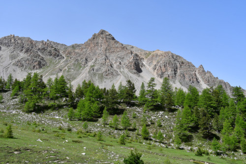 Le Marcous vu du vallon de Beaubarnon
