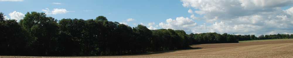 Tout sur les auteurs
