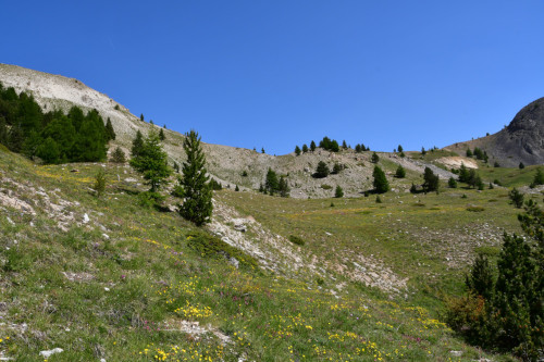 randonnee hautes-alpes Crete-de-la-Montagne-de-Riou-Vert Ceillac Queyras