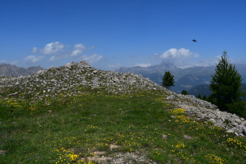 randonnee hautes-alpes Crete-de-la-Montagne-de-Riou-Vert Ceillac Queyras