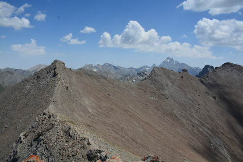 Tête de Longet