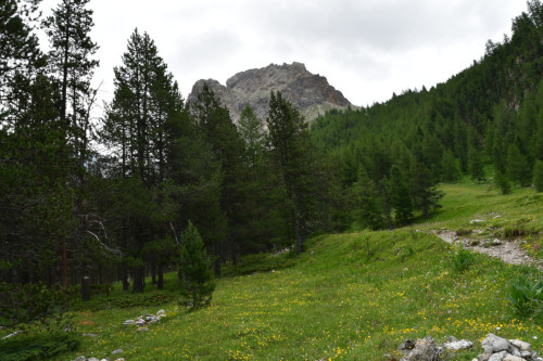 randonnee hautes-alpes Col-des-Houerts Guillestre Queyras