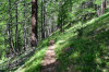 Parcours