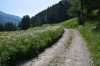 Parcours