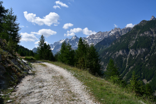 Bois de Jalavez depuis le Villard