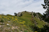 Saint-Crépin