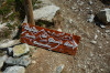 randonnee hautes-alpes Refuge-du-Glacier-Blanc - Pelvoux - Argentiere-la-Bessee