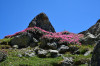randonnee hautes-alpes Col-Allonge - Ceillac - Queyras