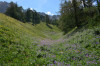 Parcours