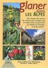 Glaner dans les Alpes