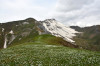 paysage hautes-alpes L-Étoile - Argentiere-la-Bessee - Argentiere-la-Bessee - L-Etoile