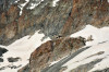 paysage hautes-alpes Refuge-des-Ecrins - Argentiere-la-Bessee - Pelvoux - Refuge-des-Ecrins