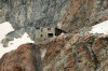 paysage hautes-alpes Refuge-des-Ecrins - Argentiere-la-Bessee - Pelvoux - Refuge-des-Ecrins
