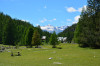 paysage hautes-alpes Plan-de-la-Loubiere - Argentiere-la-Bessee - La-Roche-de-Rame - Plan-de-la-Loubiere