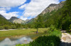 paysage hautes-alpes Plan-de-la-Loubiere - Argentiere-la-Bessee - La-Roche-de-Rame - Plan-de-la-Loubiere